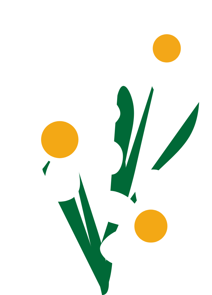 Flower - Illustration